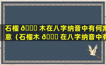 石榴 🐕 木在八字纳音中有何寓意（石榴木 🐛 在八字纳音中有何寓意和象征）